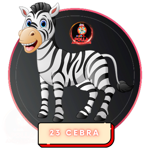 023 cebra