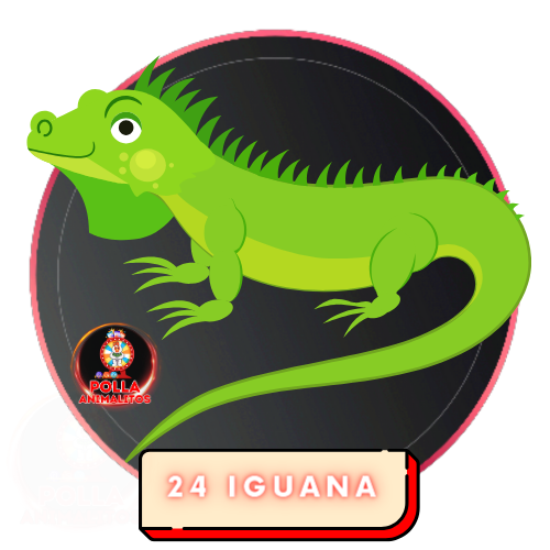 024 iguana