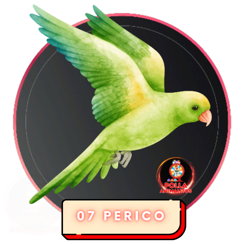 07 perico