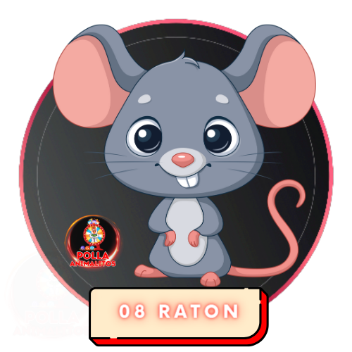 08 raton