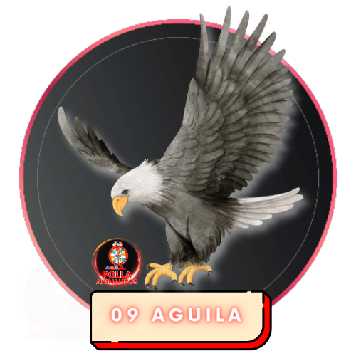 09 aguila