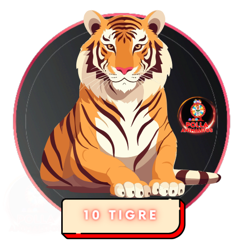 10 tigre