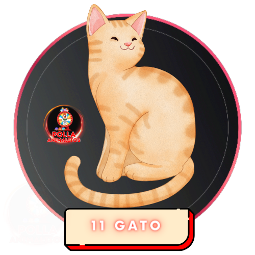 11 gato