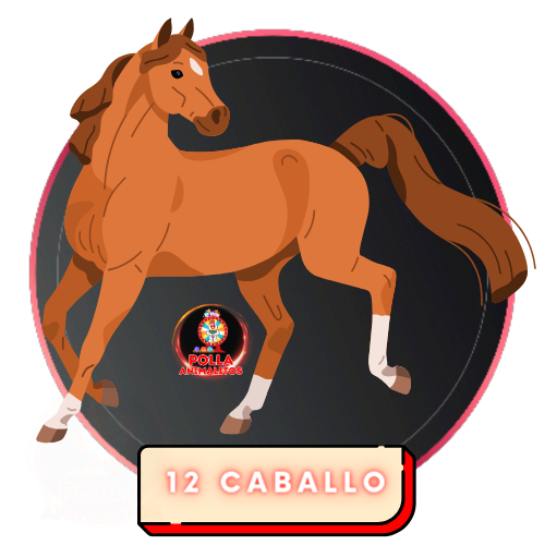 12 caballo