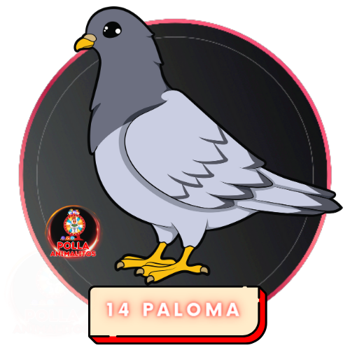 14 paloma