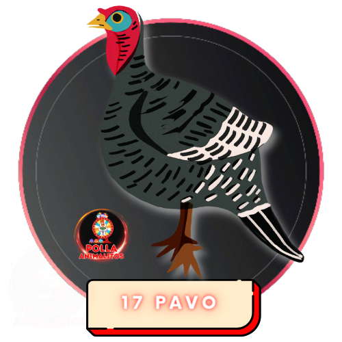 17 pavo