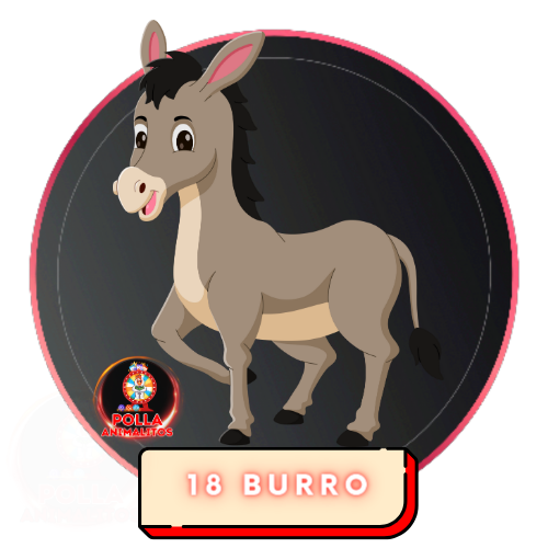 18 burro