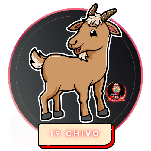 19 chivo