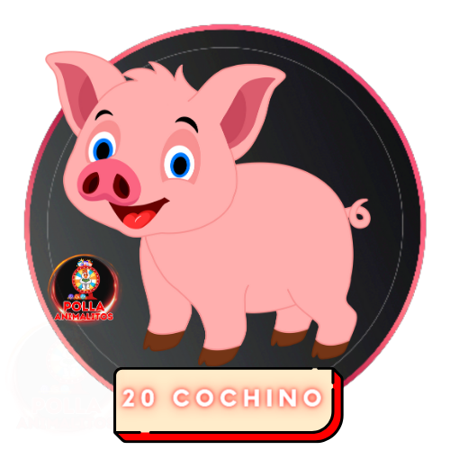 20 cochino