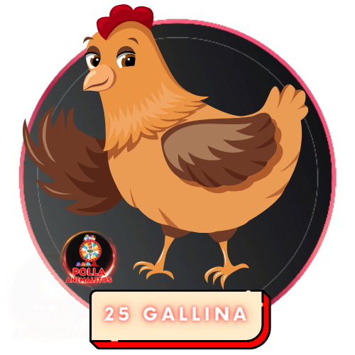 25 gallina