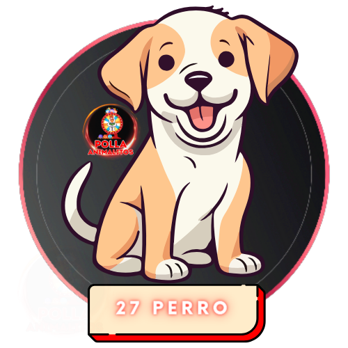 27 perro