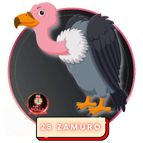 28 zamuro