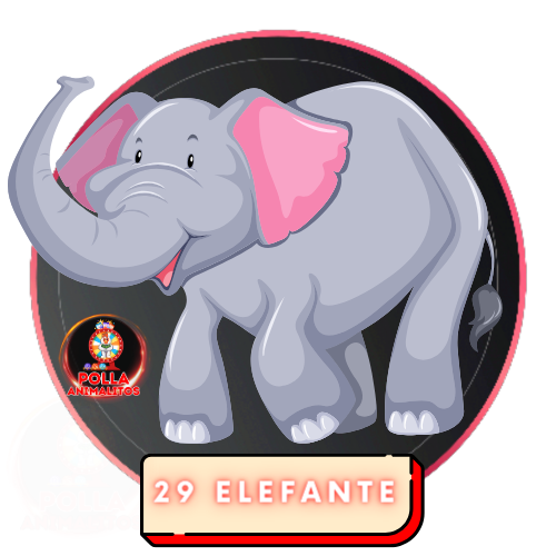 29 elefante